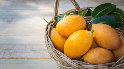 maprang fruit , marian plum, or plum mango,Name: Bouea macrophylla Griff