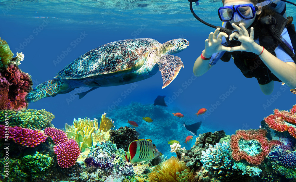 Wall mural diver girl and turtle underwater