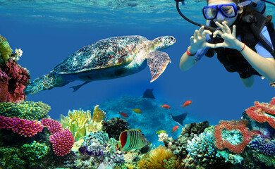 diver girl and turtle underwater