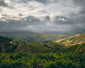 landscape of the mountains