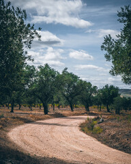 road in the countryside