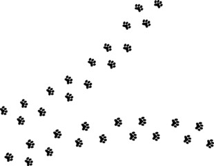 猫やトラの足跡　肉球のモノクロイラスト