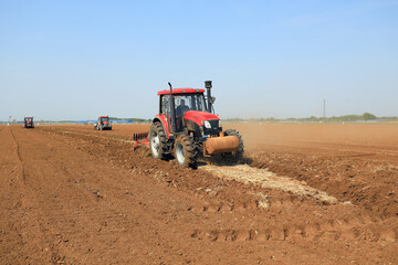 Farmers use planters to grow Plastic Mulched peanuts.