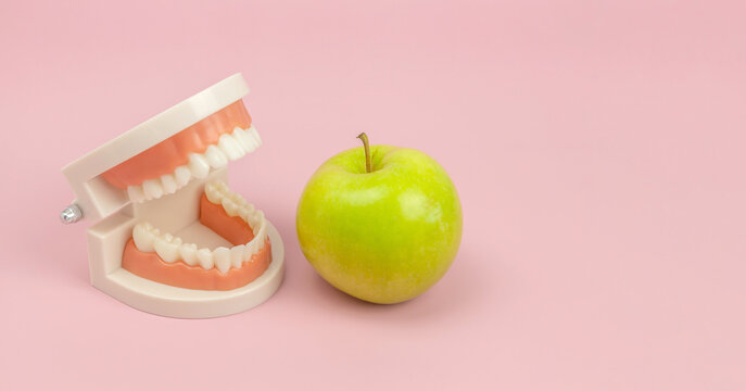 plastic model of a human jaw and an apple on a pink background. Food useful for dental health