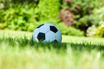 close-up view of leather soccer ball on green grass