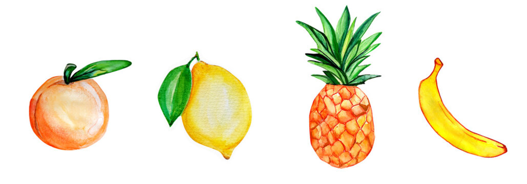 Set of Watercolor painting, fruit art illustration