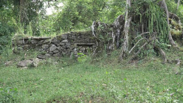Archaeological ruins in middle of jungle, peruvian culture, huari culture, inca architecture.