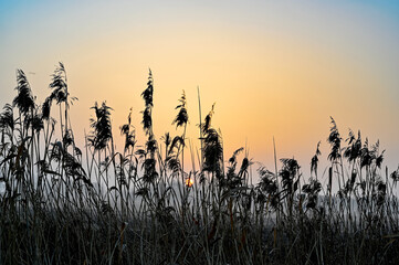 orange sunrise over agriculture fields a misty morning