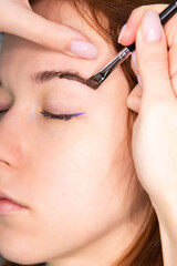 Young Caucasian Woman on the brow beauty procedures. Professional care for face. Brows coloring, wax and lamination. 