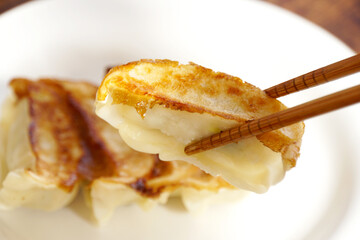 おいしそうな中華料理の焼き餃子