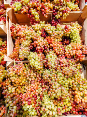 Bunches of grapes are in a box in the store