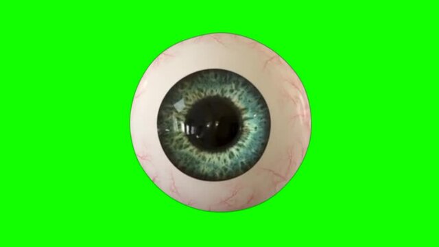 realistic eye on green screen background
