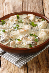 Romanian Creamed Chicken Ciulama de pui closeup in the bowl on the table. Vertical