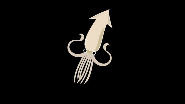 Swimming Squid 泳ぐイカ アルファマット