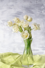 Bouquet of white tulip flowers on a light background. Delicate light still life with spring summer mood.