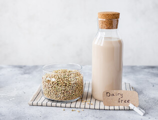 Raw green buckwheat, non dairy milk in glass bottle on gray background. Dairy free sign. plant...