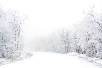 Snowy road in winter forest