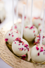 Modern dessert white cake pops  on a golden plate close up, candy bar