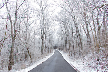 Driving along a single-lane back road surrounded by snow and winter forest.