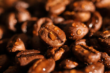 Macro closeup of pile fresh roasted organic wet coffee beans with water drops (focus on center)