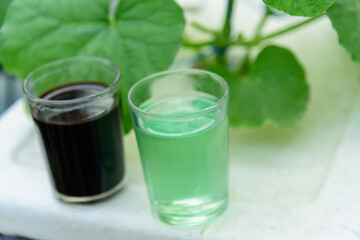 A and B type of Liquid fertilizer in the glass for Melon Hydroponics system 
