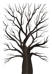 Obraz premium Old tree without leaves