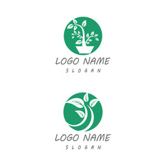 Leaf icon Vector Illustration design Logo template