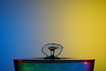 Drops/ Watersplash
