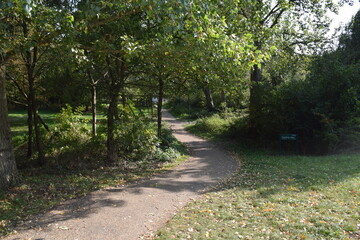path in the park