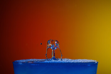 Drops/ Watersplash
