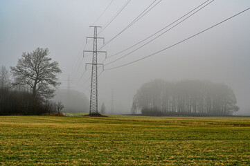 Fototapeta na wymiar power line over agriculture fields a foggy morning