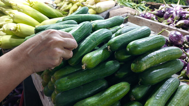  buying cucumber from vegetable market