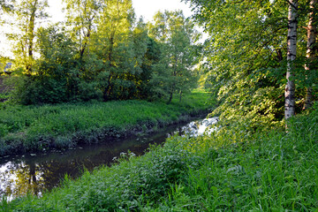 River. The banks of a small river overgrown with grass. Early morning in the village. Sunny morning.