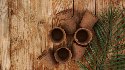 Empty peat pots for seedlings on a wooden background with tropical leaf. Gardening. The concept of preparing garden tools