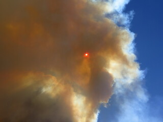 Fototapeta na wymiar a cloud of smoke in front of the sun, Spreading Creek Wildfire 07-04-2014 close to the Saskatchewan River Crossing, Banff National Park, Icefields Parkway, Rocky Mountains, Alberta, Canada, July