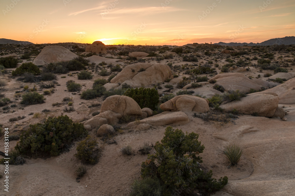 Wall mural dramatic and beautiful landscape photo of joshua tree national park in california,usa.