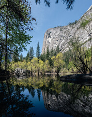 Fototapeta na wymiar View of El Capitan from the base of a river during the summer in Yosemite, California, USA