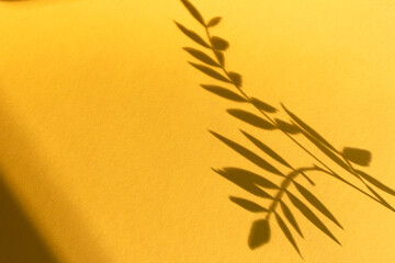 Pistachio leaves shadow on yellow paper background. Summer background of shadows. Close up. Copy space.