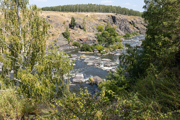 Fototapeta na wymiar Rough mountain river flows among stones and trees in summer day