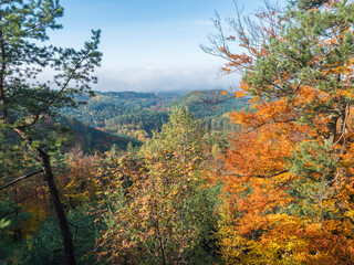 Obraz premium view of colorful vivid deciduous beech and pine tree forest and hills from viewpoint called Vyhlidka na Rip at nature park Kokorinsko, Czech republic. Autumn sunny day.
