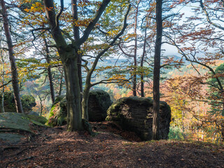 view of colorful vivid deciduous beech and pine tree forest and hills from viewpoint called Vyhlidka na Rip at nature park Kokorinsko, Czech republic. Autumn sunny day.