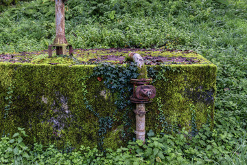 Old abandoned water tank covered in moss and ivy