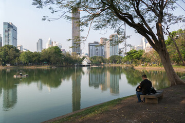 Fototapeta na wymiar Lumpini Park, public park in central Bangkok, Thailand