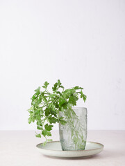 Fresh parsley bunch with drops of water on the leaves in a glass on plate. Light grey background, copy space