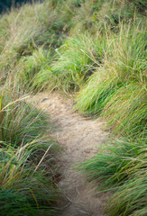 Nature trail of the outdoor place natural.