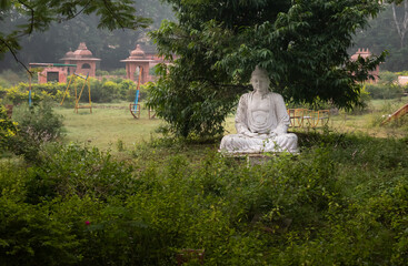 white Buddha statue with tree background