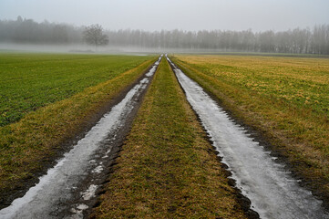 Fototapeta na wymiar straight icy road between agriculture fields in Sweden
