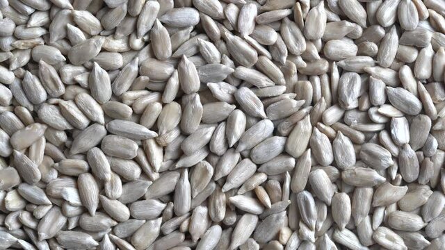 Peeled sunflower seeds pile background, close up, top view, rotates