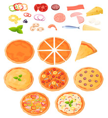 Different types of pizza top view. Ingredients for pizza, cake. Pizza is divided into pieces. Colorful vector illustration in flat cartoon style.