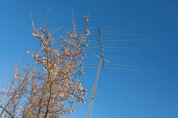 Antenne eines Amateurfunkers